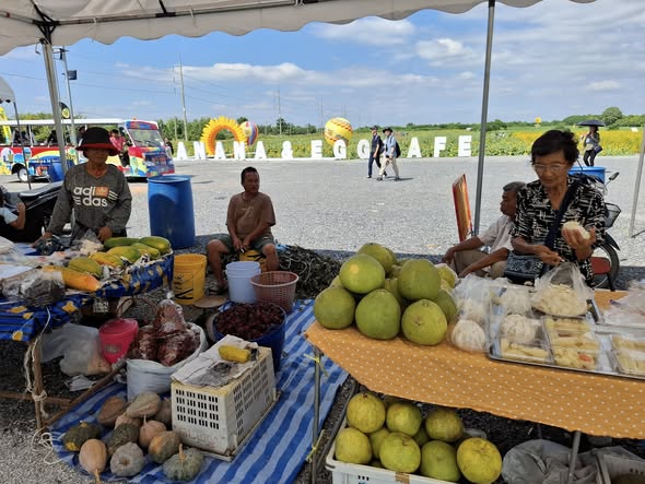 585021365 1161714259398354 7591969325068249993 n